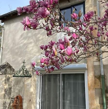 7 Rayons Villa Avignon Exterior photo